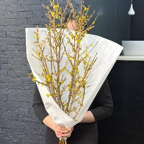 Интерьерные ветки форзиции ( 3 шт 80-90 см) в Москве