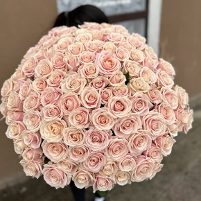 Букет из 101 розы Перл Аваланж (70см) в Москве