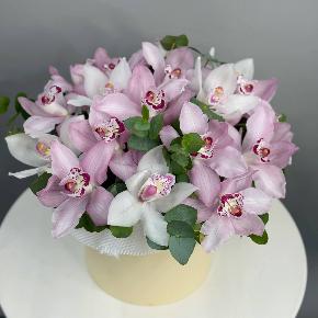 Композиция в коробке из 17  орхидей в Москве