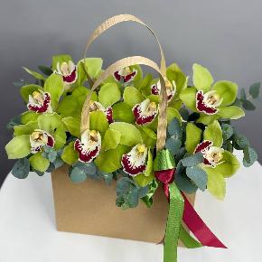 Композиция из 11 зеленых орхидей в крафтовой сумочке в Москве