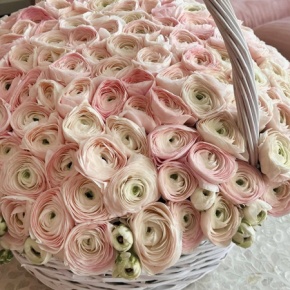 Композиция в корзине "Роскошь бутиков" из 101 ранункулюса в Москве