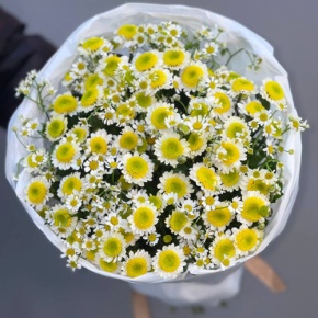 Букет "Верю я" из хризантем сантини Сан Ап и ромашек в Москве