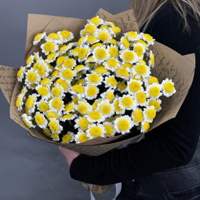 Букет "Моё солнышко" из 11 хризантем сантини  в Москве