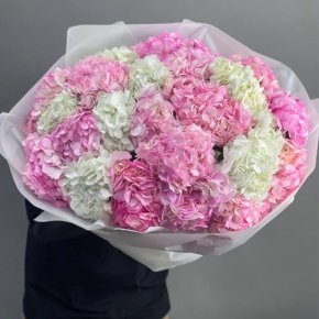Букет из 25 гортензий  в Москве