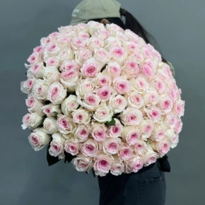 Букет из 101 махровой пионовидной розы Эквадор (60 см) в Москве