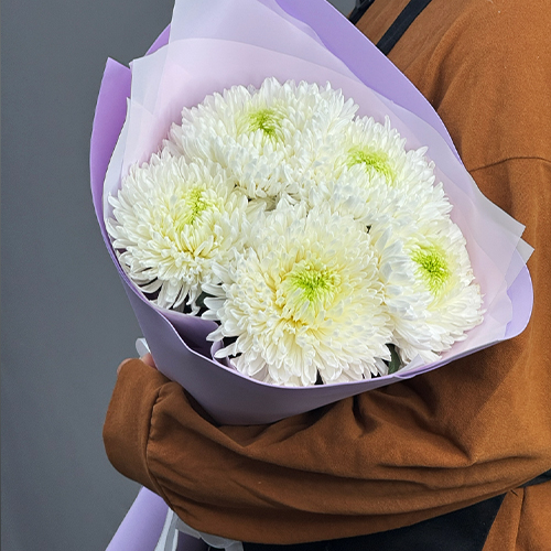 Букет из одноголовых белых хризантем Магнум в Москве Букет из одноголовых белых хризантем Магнум в Москве