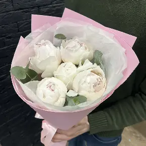 Букет из 5 пионов Одиле "Пломбир" в Москве