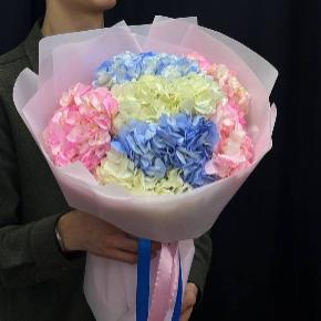 Букет из 7 разноцветных гортензий  в Москве