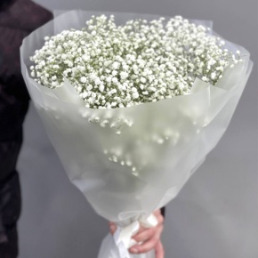 Букет из 9 белых гипсофил в Москве