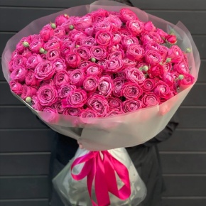 Букет из 29 малиновых кустовых пионовидных роз Марвелоус Баблз (80 см) в Москве