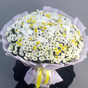 Монобукет из 101 хризантемы сантини микс в Москве