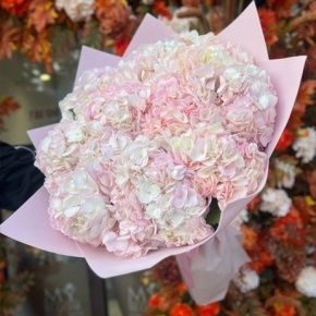 Букет из 15 розовых гортензий в Москве