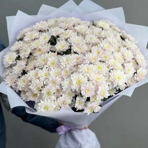 Букет "Нежный" из 25 пудровых хризантем в Москве