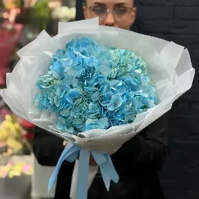 Букет из 5 голубых гортензий в нежной упаковке в Москве