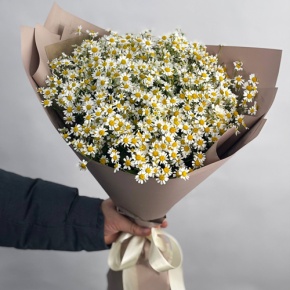 Букет из 17 ромашек танацетум в Москве