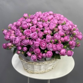 Композиция в корзине из 35 кустовых пионовидных роз Мисти Баблз в Москве