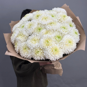 Букет из 27 хризантем Магнум в Москве