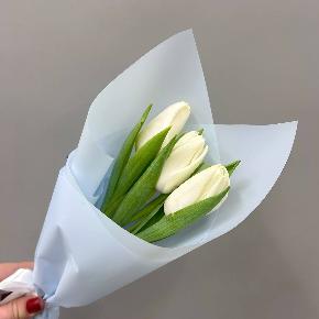 Букет из 3 белых тюльпанов (минимальный заказ от 10 шт)