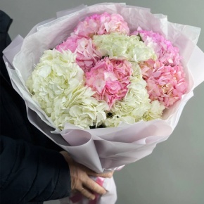 Букет 9 гортензий микс Нежность в Москве