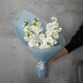 Букет из 7 белых маттиол в Москве