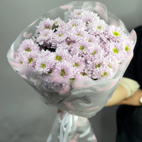 Букет "Нежный комплимент" из 9 кустовых хризантем в Москве