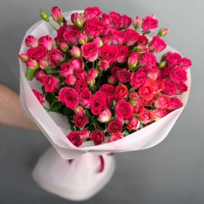 Букет из 11 малиновых кустовых роз (50 см) в Москве