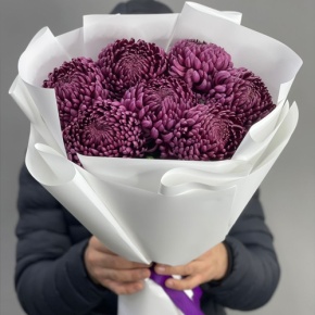 Букет "Винная легенда" из 7 хризантем Бигоуди в Москве