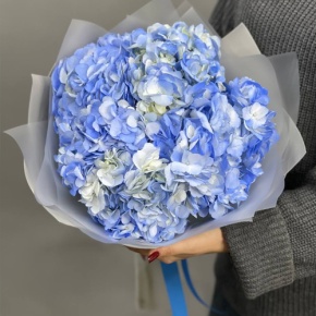 Букет "Айс" из 5 голубых гортензий в Москве