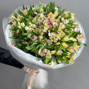 Букет "Зарина" из 37 альстромерий микс в Москве