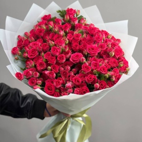 Букет из 23 малиновых кустовых роз (60 см) в Москве