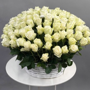 Композиция в корзине из 151 белой розы в Москве