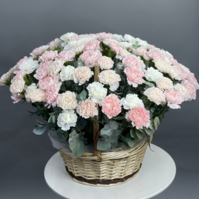 Композиция в корзине из 101 диантуса микс в Москве