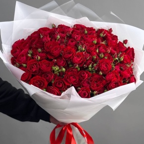 Букет из 17 красных кустовых пионовидных роз (60 см) в Москве