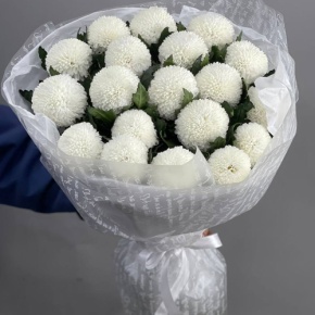 Букет "Сливки" из 19 хризантем Момоко в Москве