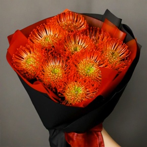 Букет из 9 лейко в Москве