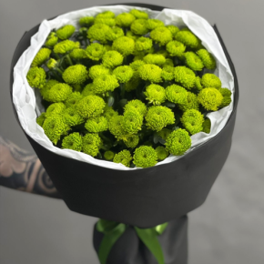 Стильный букет "Лайм" из 15 хризантем сантини в Москве