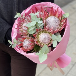 Букет из 5 протей и эвкалипта в Москве