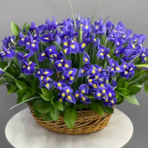Композиция в корзине из 101 ириса в Москве