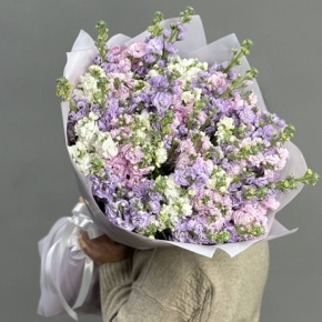 Букет из 51 маттиолы в Москве