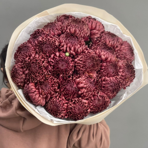 Букет 21 шоколадной хризантемы Бигоуди в Москве