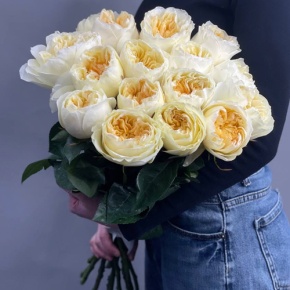 Букет из 15 пионовидных кремовых роз Эквадор  (60см) в Москве