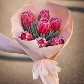 Букет из 7 протей в Москве