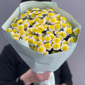 Букет "Моё солнышко" из 17 хризантем сантини  в Москве