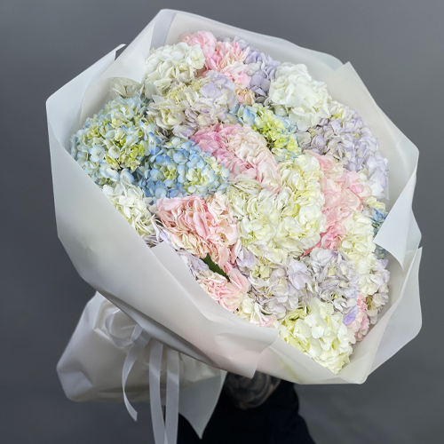 Букет из 23 гортензий микс в Москве Букет из 23 гортензий микс в Москве