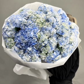 Букет из 23 синих гортензий в Москве