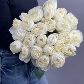 Букет из 25 пионовидных роз Эквадор (60см) в Москве