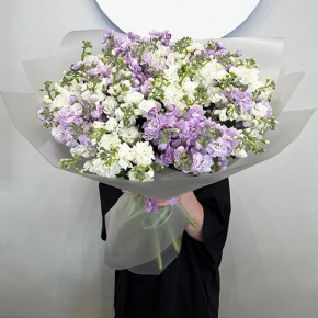 Букет из 25 ароматных маттиол в Москве