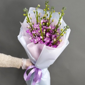 Букет из 7 розовых маттиол в Москве