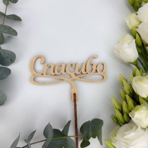 Топпер-Спасибо в Москве