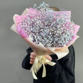 Букет из 7 радужных гипсофил в Москве